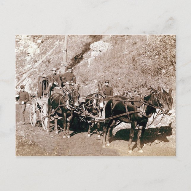 Cartão Postal Bolion Palco Coach Vintage (Frente)