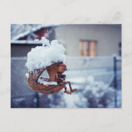 Cartão Postal Bolsa de estômago