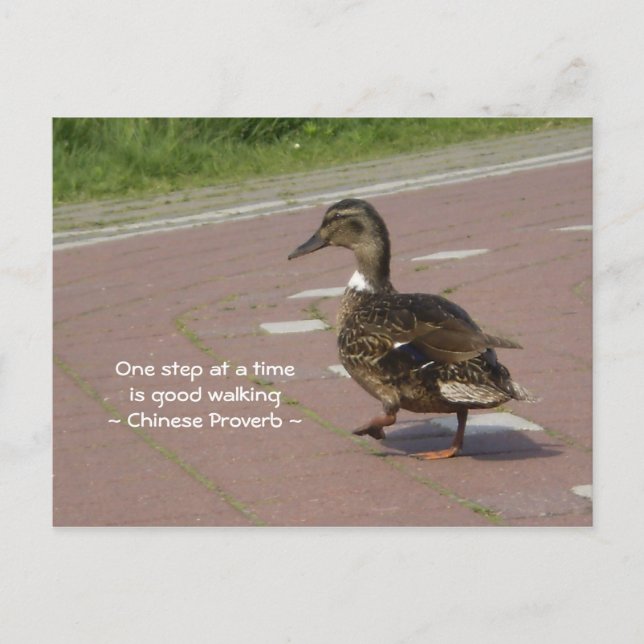 Cartão Postal Bom Caminho (Frente)