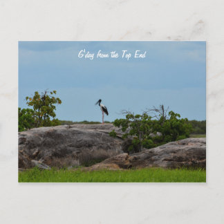 Cartão Postal Bom dia