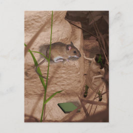 Cartão Postal Bom dia, Srta. Mouse.