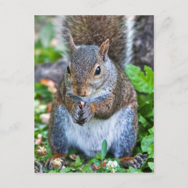 Cartão Postal Bom Para A Última Morte (Frente)