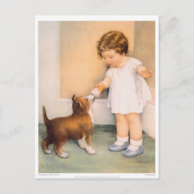 Cartão Postal Bom Rapaz! Cartão-postal Collie de Borda (Frente)