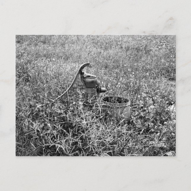 Cartão Postal Bomba de Dia Olhado (Frente)