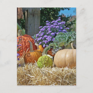 Cartão Postal Bombas Caem Flores Roxas de outono Arte de Paz