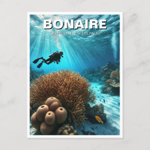 Cartão Postal Bonaire Caribe Países Baixos Scuba Diver Diving