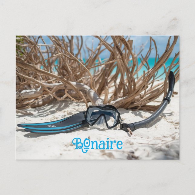 Cartão Postal Bonaire divers paradise (Frente)