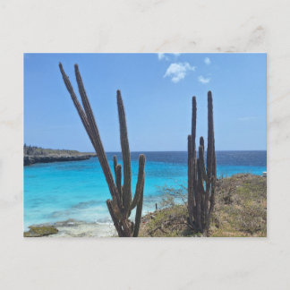 Cartão Postal Bonaire Seaview