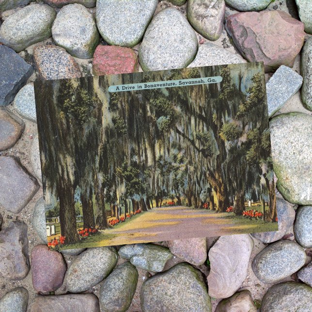 Cartão Postal Bonaventure Drive Savannah GA retro (Criador carregado)