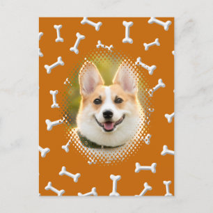 Cartão Postal Bone Pattern Dog Frame Art