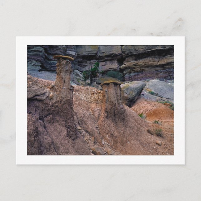 Cartão Postal "Bonés de lama" (Frente)