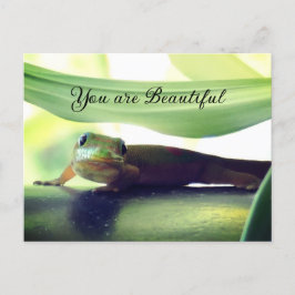 Cartão Postal Bonita