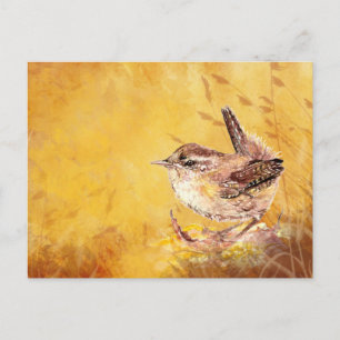 Cartão Postal Bonita Casinha de Aquarela Wren Bird Nature art