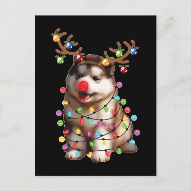 Cartão Postal Bonita doação de Natal para o Cão Malamute no Alas (Frente)