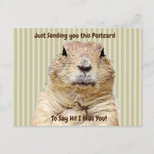 Cartão Postal Bonita Groundhog "I Miss You" Dizendo Oi