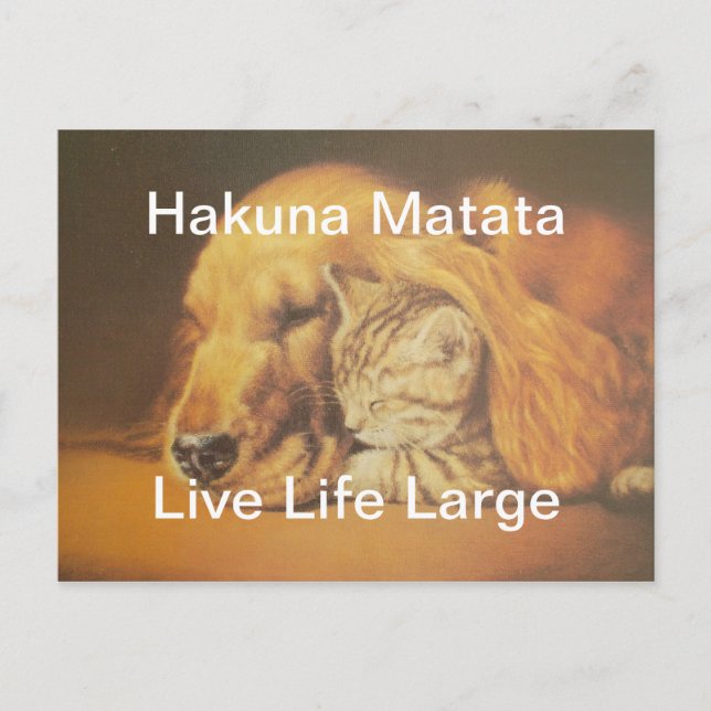 Cartão Postal Bonita Impressão de Arte de Cachorro e Gato Incrív (Frente)