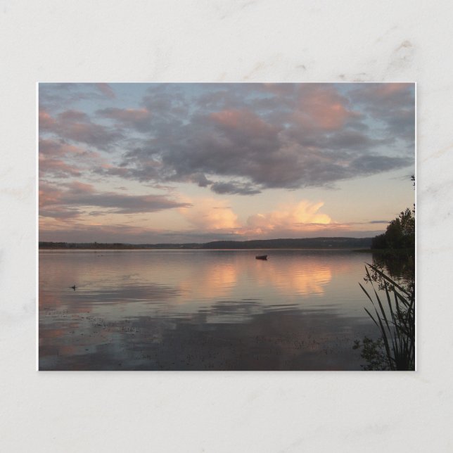 CARTÃO POSTAL BONITAS REFLEXÕES DE SHARON SHARPE (Frente)