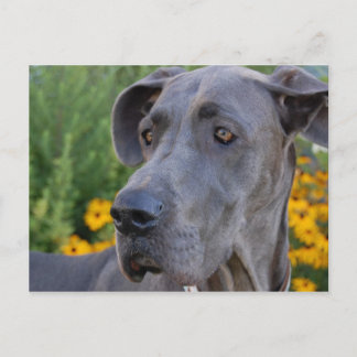 Cartão Postal Bonito