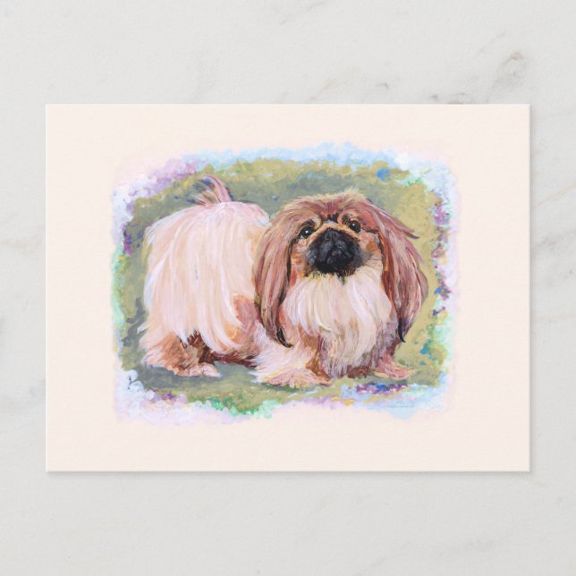 Cartão Postal Bonito a rosa (Frente)