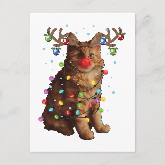 Cartão Postal Bonito Bobtail Americano Gifes de Natal (Frente)