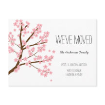 Bonito Cherry Blossoms Sakura Árvore que mudamos