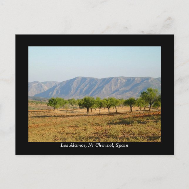 Cartão postal bonito de Los Alamos, Nr Chirivel, E (Frente)