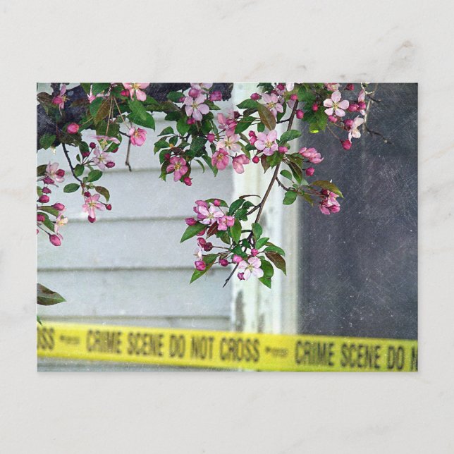 Cartão Postal Bonito Feia (Frente)