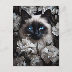 Cartão Postal Bonito Gato Birman Entre Flores Brancas