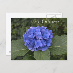 Cartão Postal Bonito Hydrangea Azul Apenas Uma Pequena Nota