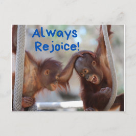 Cartão Postal Bonito Orangutan Bebê Sempre Alegra
