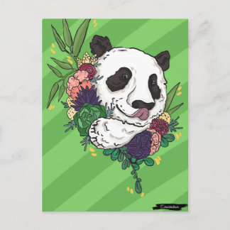 Cartão Postal Bonito Panda