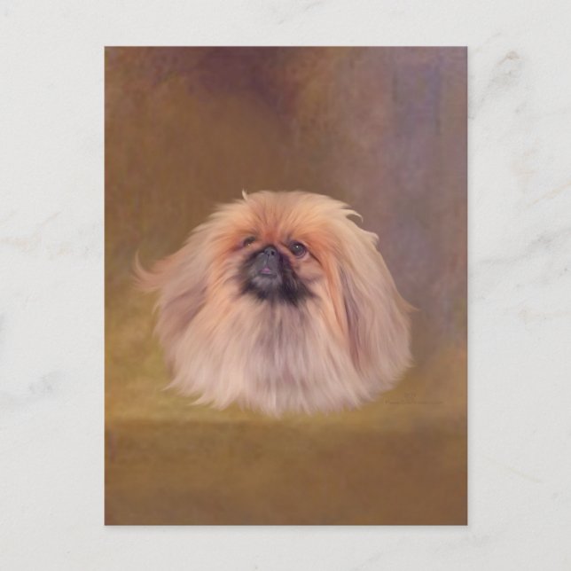 Cartão Postal Bonito Pekingese (Frente)