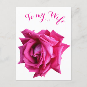 Cartão Postal Bonito rosa floral cor-de-rosa-quente, Namorados f