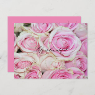Cartão Postal Bonito Rosas Brancas Rosa Românticas