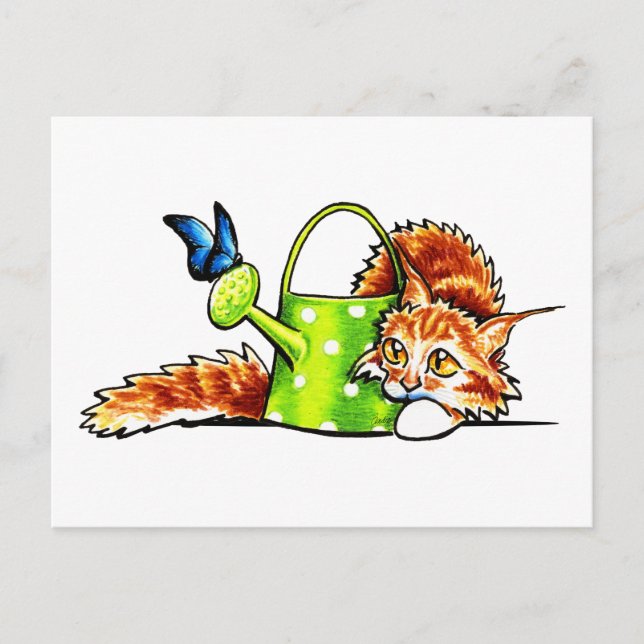 Cartão Postal Bonito Tabby Laranja Rouxineiro Maine Coon (Frente)