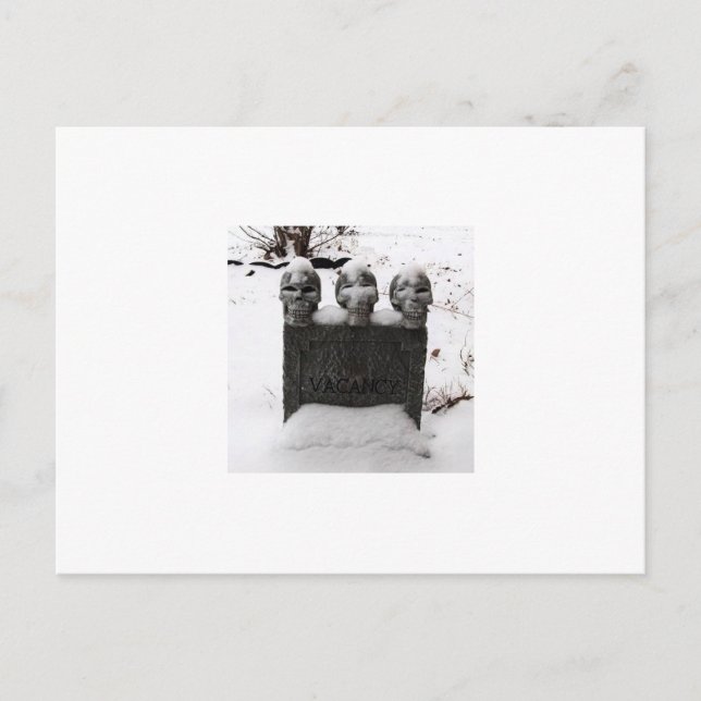 Cartão Postal Bonito Vacant (Frente)