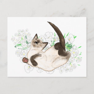 Cartão Postal Bonitos presentes e acessórios de arte de gatos s
