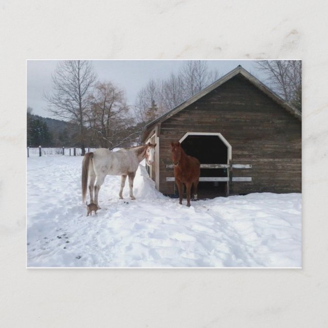 Cartão Postal Bonnie & Clyde (Frente)
