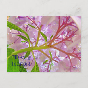 Cartão Postal Bons Feitos! Cartaz Pink Hydrangea Flowers