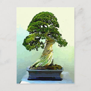 Cartão Postal Bonsai Cypress Tree