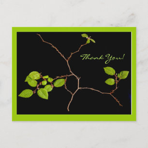 Cartão Postal bonsai de Carpinus turczaninowii obrigado