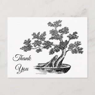 Cartão Postal Bonsai - Estilo chinês - preto e branco