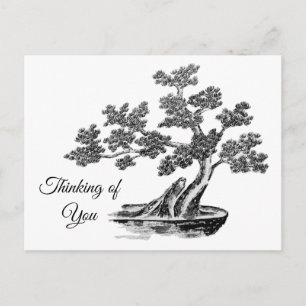 Cartão Postal Bonsai - Estilo chinês - preto e branco