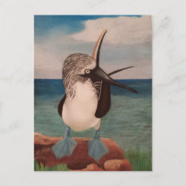 Cartão Postal Booby de Pé Azul