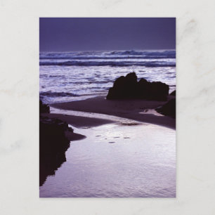 Cartão Postal Boobys Bay