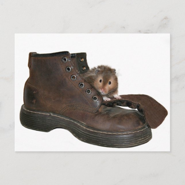 Cartão Postal Boot pet (Frente)