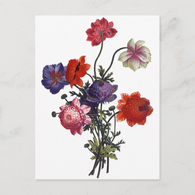 Cartão Postal Boquet de Flores Vintage (Frente)