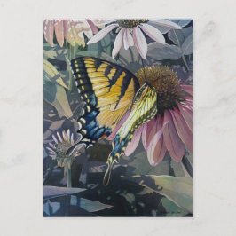 Cartão Postal Borboleta Anormal Amarelo Coneflower Watercolor