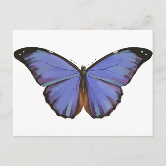 Cartão Postal Borboleta Azul (Frente)