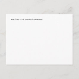 Cartão Postal Borboleta azul mexicana